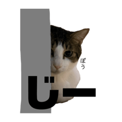 [LINEスタンプ] ふう・らい・ぼうのスタンプ