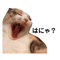 [LINEスタンプ] かわいいかーチェ